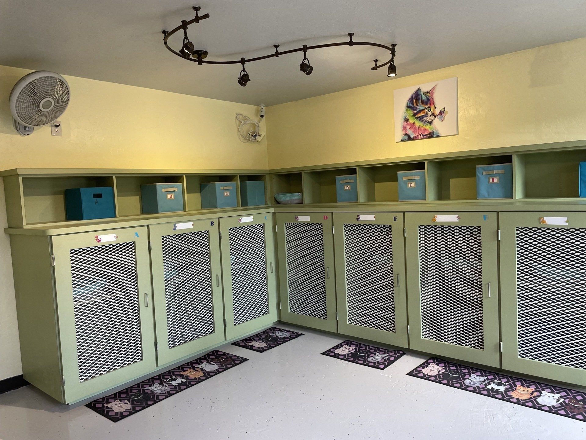 Spacious cat boarding kennels